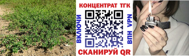 Купить где  Ахтырский  Дистиллят ТГК THC oil 