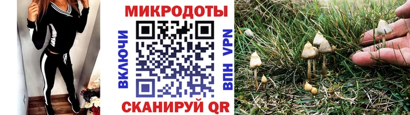 Галлюциногенные грибы мицелий  Купить закладки  Ахтырский 